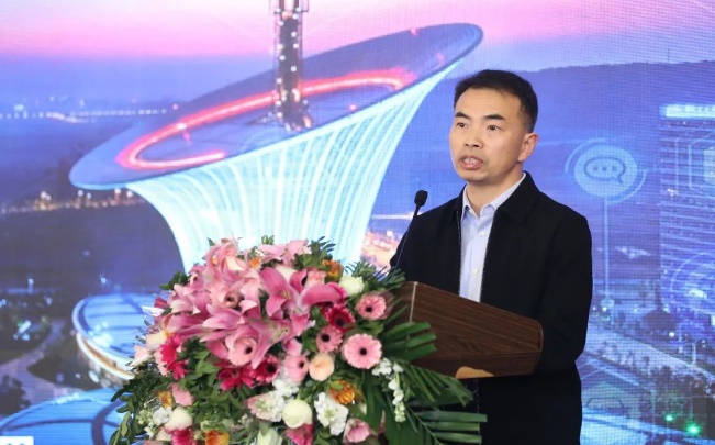 武汉东湖高新区政法委副书记陈玫